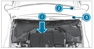 Mercedes-Benz GLC. Vehicle identification plate, VIN and engine number overview